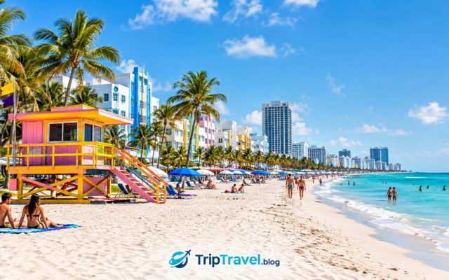 Things to Do in Miami Complete Travel Guide