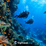 Best Places to Scuba Dive for an Unforgettable Underwater Vacation