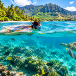 Best Places to Snorkel in Hawaii: 12 Incredible Spots for an Unforgettable Island Adventure