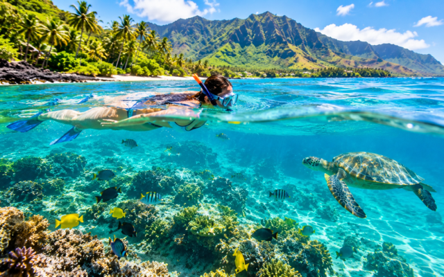 Best Places to Snorkel in Hawaii: 12 Incredible Spots for an Unforgettable Island Adventure